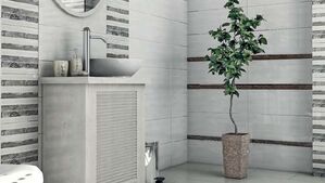 ceramika color lakewood 