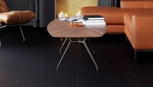 stargres black / white 