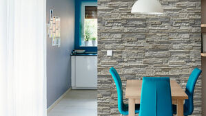 stone master santana 