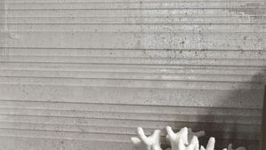 baldocer detroit płytki importowane