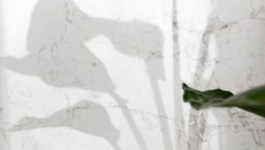 ceramstic adiana płytki importowane