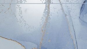 domino satini 2023 płytki