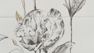 domino velo bianco płytki