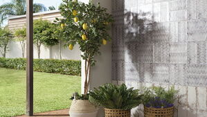 mainzu ceramica atelier płytki importowane