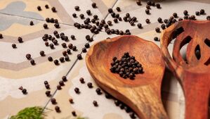 peronda fs 1827 płytki importowane