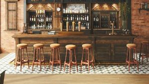 peronda fs bark płytki importowane