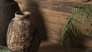 peronda fs wild płytki importowane