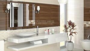 ceramika końskie płytki