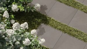 stargres oxygen płytki