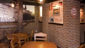 stegu country kamień