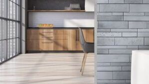 stone master leonardo kamień