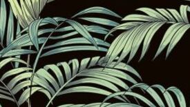 ceramstic inserto płytki importowane