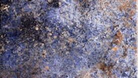 mainzu ceramica oasis płytki importowane