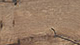 tubądzin korzilius wood grain płytki