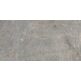 Aparici, Dstone, APARICI DSTONE ASH LEKUE NATURAL GRES REKTYFIKOWANY 49.75X99.55 