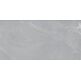 Vives, Salerno, VIVES SALERNO-R CENIZA GRES REKTYFIKOWANY 60X120 