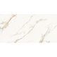 Proceramica, Golden, PROCERAMICA GOLDEN SATUARIO GRES POLER REKTYFIKOWANY 60X120 