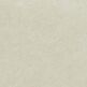 Paradyż (Classica), Bergdust, PARADYŻ BERGDUST WHITE MAT GRES REKTYFIKOWANY 59.8X59.8 