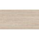 Vives, Paris, VIVES PARIS-R NATURAL R10 GRES REKTYFIKOWANY 60X120 
