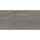 Geotiles, Eddystone, GEOTILES EDDYSTONE GRIS GRES REKTYFIKOWANY 60X120X0.9 