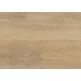 Wineo, Wineo 800 Wood Xl, WINEO DALEN OAK NATURE PODŁOGA WINYLOWA 150.5X23.5 (DB834WXL) 