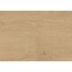 Wineo, Wineo 400 Wood L, WINEO PLAIN OAK BEIGE PODŁOGA WINYLOWA 122X18 (RLC281WL) 