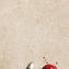 Marazzi Polska Caracter