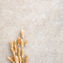 Marazzi Mystone Limestone20