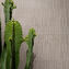 Marazzi Polska Naturalia