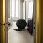 Marazzi Mystone Limestone