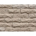 STEGU AMSTERDAM 1 KAMIEŃ ELEWACYJNY 7.6X26 