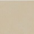 PARADYŻ ARCHICROSS BASE BEIGE STRUKTURA B GRES MAT REKTYFIKOWANY 59.8X59.8X0.8 