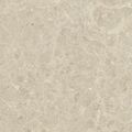 PARADYŻ ARCHICROSS STONE WHITE STRUKTURA A GRES MAT REKTYFIKOWANY 59.8X59.8X0.8 