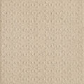 PARADYŻ BAZO BEIGE GRES SÓL-PIEPRZ STRUKTURA 19.8X19.8 