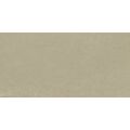 PARADYŻ BERGDUST BEIGE MAT GRES REKTYFIKOWANY 59.8X119.8 
