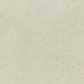 PARADYŻ BERGDUST WHITE MAT GRES REKTYFIKOWANY 59.8X59.8 