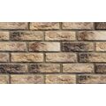 STEGU CAMBRIDGE 10 PŁYTKA CEGŁOPODOBNA 6.3X20.8 