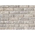 STEGU CAMBRIDGE 1 PŁYTKA CEGŁOPODOBNA 6.3X20.8 