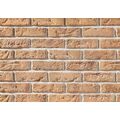 STEGU CAMBRIDGE 3 PŁYTKA CEGŁOPODOBNA 6.3X20.8 
