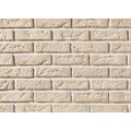 STEGU CAMBRIDGE 9 PŁYTKA CEGŁOPODOBNA 6.3X20.8 