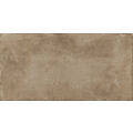 APARICI COTTO BROWN NATURAL GRES 50X100 
