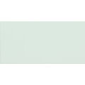 DOMINO DELICE MINT PŁYTKA ŚCIENNA 22.3X44.8 