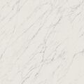 PARADYŻ ELITE WHITE POLER GRES REKTYFIKOWANY 119.8X119.8 