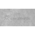 CERAMSTIC HARMIGON TUNDRA LIGHT GRES POLER REKTYFIKOWANY 60X120 (GRS.354B.P) 