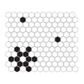 DUNIN MINI HEXAGON B&W SNOW MOZAIKA PREMIUM MAT 26X30 