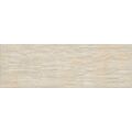 REALONDA IGUAZU SAND GRES 21X63 