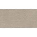 TUBĄDZIN INDUSTRIO BEIGE GRES MAT REKTYFIKOWANY 59.8X119.8X0.8 