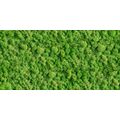 CERAMIKA COLOR MOSS GLASS DEKOR 30X60 