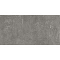 APARICI LITHOPS GREY NATURAL GRES REKTYFIKOWANY 49.75X99.55 