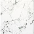 DECUS LUXURY WHITE GRES 20X20 